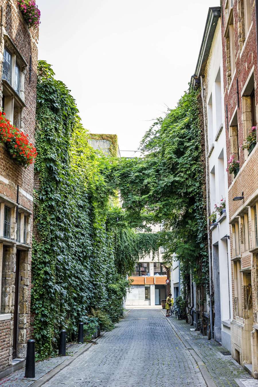 Groenslinger in straat